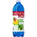 Minerálna voda MAGNESIA Plus Antistress mango, medovka 6 x 0,7 ℓ