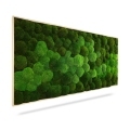 Machový obraz DUO Natural Green, 160x60cm, drevený čierny rám