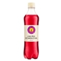 Kombucha original Carpe Diem 12 x 0,5l