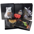 Zakladač 2-krúžkový DONAU A4 Zvieratá 25 mm, mix motívov, 10 ks